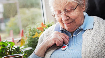 ELDERLY ASSISTANCE 3